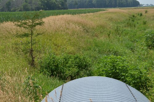 Property photo 19 - 51.5 Acres Offered in 5 tracts, 2 Farm Sites